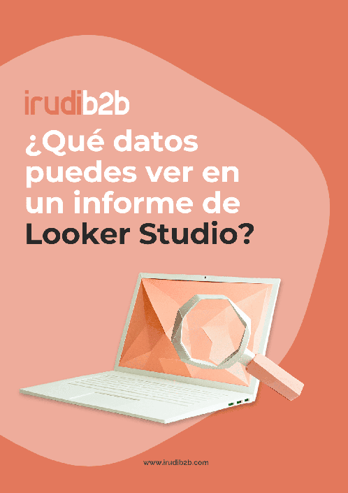Datos informe Looker Studio