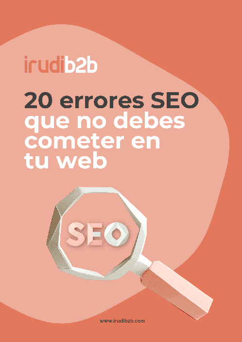 Guia 20 errores SEO web no cometer